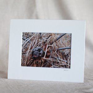 "Forgotten Farm" 5x7 Photography Print